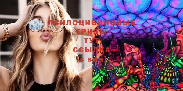 ГАЛЛЮЦИНОГЕННЫЕ ГРИБЫ Инсар