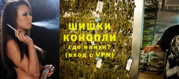 PSILOCYBIN Иннополис