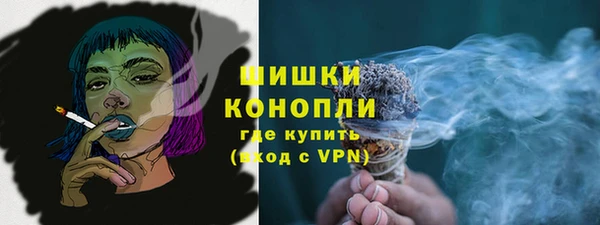 PSILOCYBIN Иннополис
