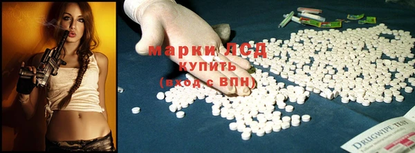 PSILOCYBIN Иннополис