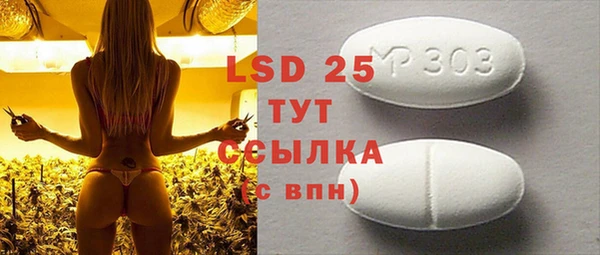 ГАЛЛЮЦИНОГЕННЫЕ ГРИБЫ Инсар