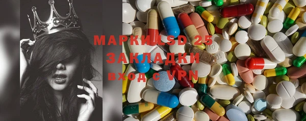 PSILOCYBIN Иннополис