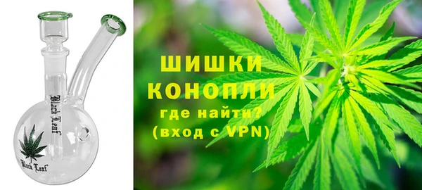 PSILOCYBIN Иннополис