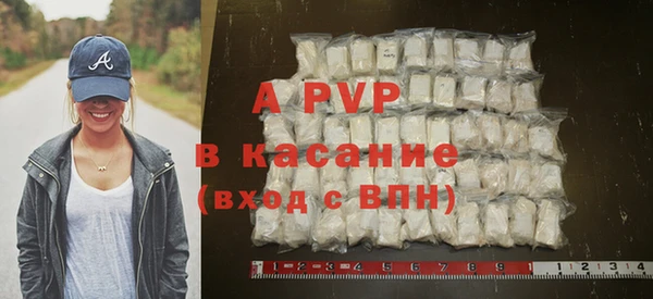 PSILOCYBIN Иннополис