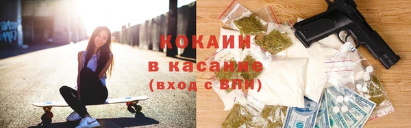 ГАЛЛЮЦИНОГЕННЫЕ ГРИБЫ Инсар