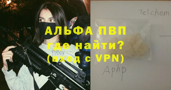 ГАЛЛЮЦИНОГЕННЫЕ ГРИБЫ Инсар